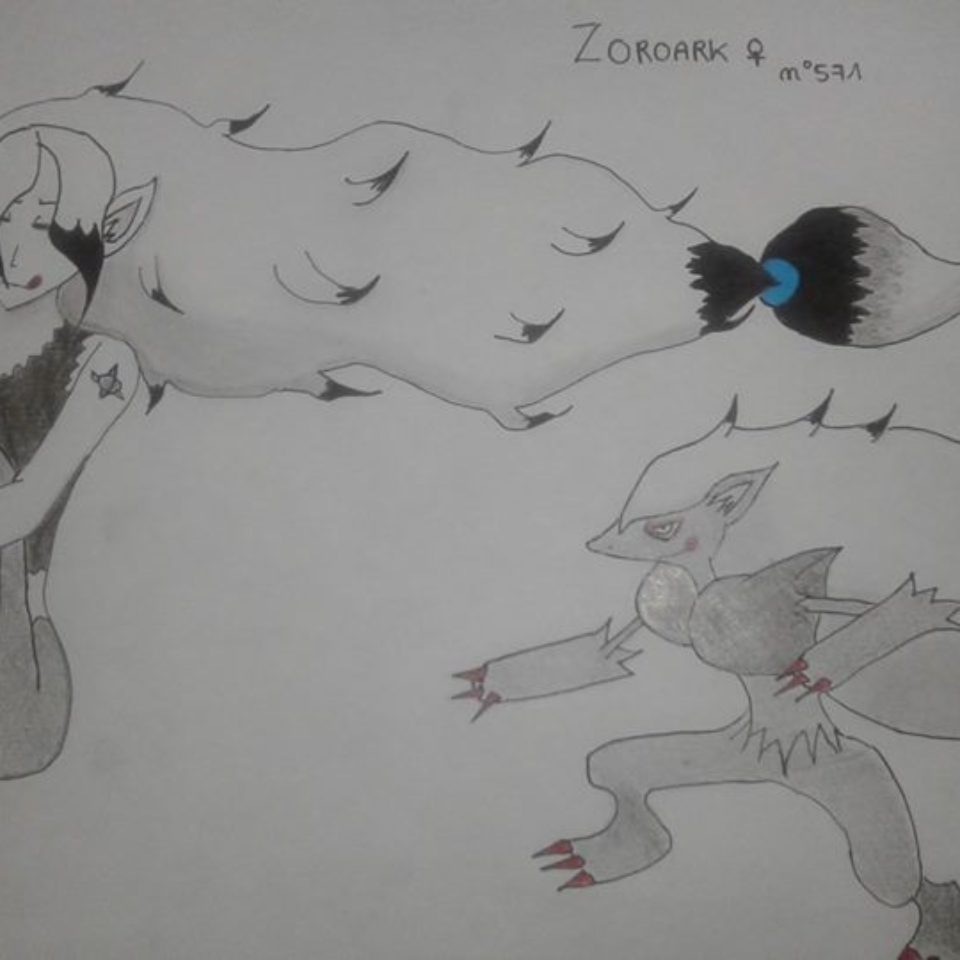 concours pkmn zoroak